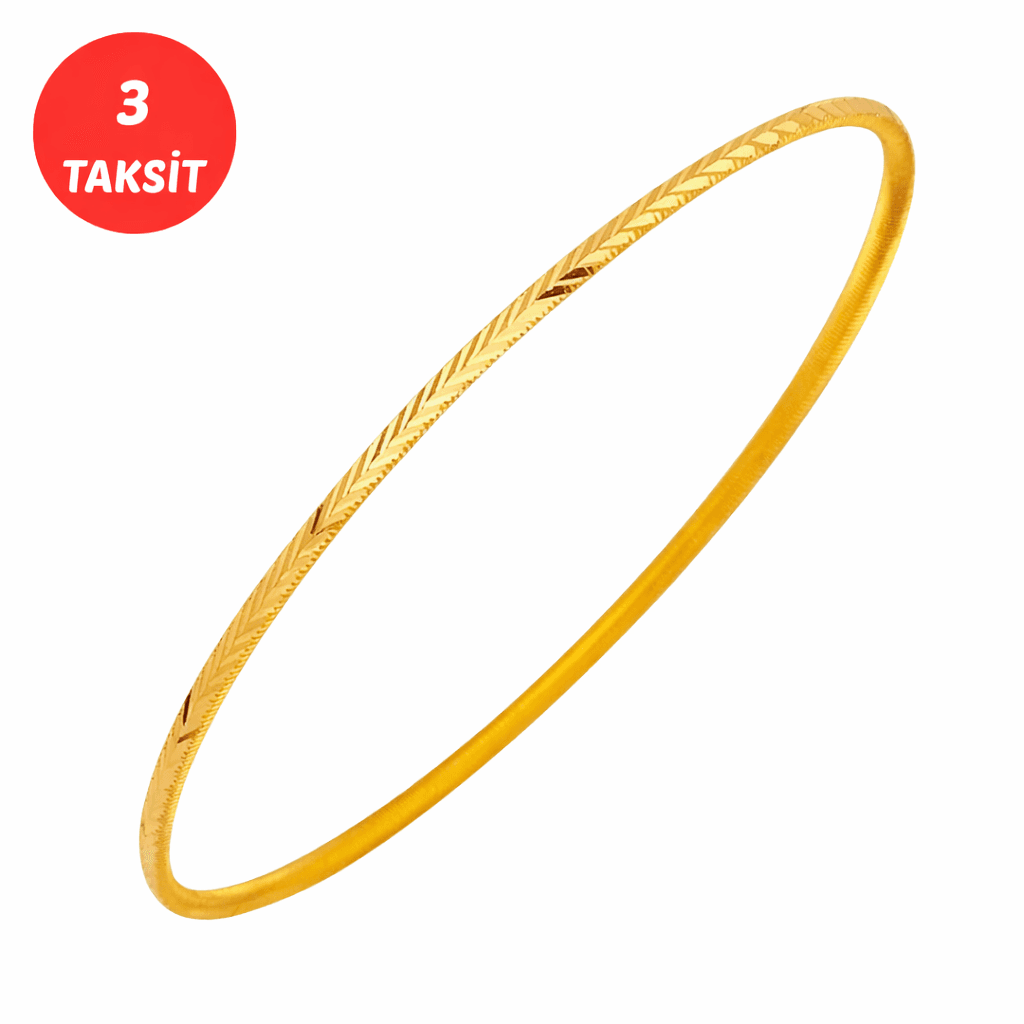 10 Gr Başak Model Ajda Altın Bilezik 22 Ayar